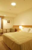 Туры в отель Shiba Park Hotel Туры в отель Shiba Park Hotel
