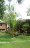 Туры в отель Langkah Syabas Beach Resort Туры в отель Langkah Syabas Beach Resort