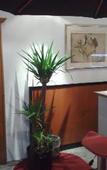 Туры в отель Hotel Alexander Туры в отель Hotel Alexander
