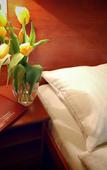 Туры в отель Bacero Hotel Туры в отель Bacero Hotel