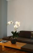 Туры в отель JM Suites Туры в отель JM Suites