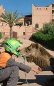 Туры в отель Kasbah Le Mirage Туры в отель Kasbah Le Mirage
