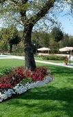 Туры в отель I Grandi di Toscana Туры в отель I Grandi di Toscana