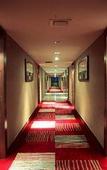 Туры в отель Pride Hotel Chennai Туры в отель Pride Hotel Chennai