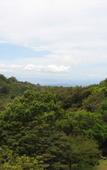 Туры в отель Cloud Forest Lodge Туры в отель Cloud Forest Lodge