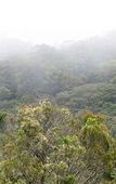 Туры в отель Cloud Forest Lodge Туры в отель Cloud Forest Lodge