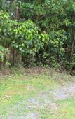 Туры в отель Cloud Forest Lodge Туры в отель Cloud Forest Lodge