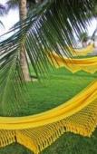 Туры в отель Serrambi Resort Туры в отель Serrambi Resort