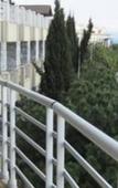 Туры в отель Миндальная роща Отель Морской Туры в отель Миндальная роща Отель Морской