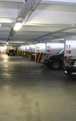 Туры в отель Миндальная роща Отель Морской Туры в отель Миндальная роща Отель Морской