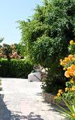 Туры в отель Pefkos Village Туры в отель Pefkos Village
