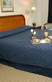 Туры в отель Windsor Hotel & Tower Туры в отель Windsor Hotel & Tower