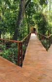 Туры в отель La Cantera Lodge de Selva Iguazu Туры в отель La Cantera Lodge de Selva Iguazu