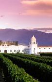 Туры в отель Patios de Cafayate Hotel & Spa Туры в отель Patios de Cafayate Hotel & Spa