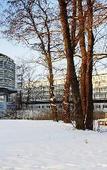 Туры в отель Kongresshotel Potsdam am Templiner See Туры в отель Kongresshotel Potsdam am Templiner See