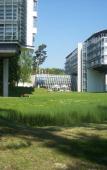 Туры в отель Kongresshotel Potsdam am Templiner See Туры в отель Kongresshotel Potsdam am Templiner See
