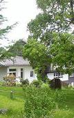 Туры в отель Hotel Adenia Hochenschwand Туры в отель Hotel Adenia Hochenschwand