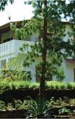 Туры в отель Windermere Estate Туры в отель Windermere Estate