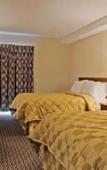 Туры в отель Comfort Inn West Туры в отель Comfort Inn West