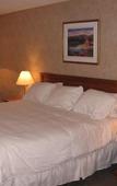 Туры в отель Hotel Auberge Universel Montreal Туры в отель Hotel Auberge Universel Montreal