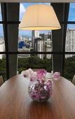 Туры в отель Tivoli Sao Paulo Mofarrej Туры в отель Tivoli Sao Paulo Mofarrej