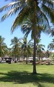 Туры в отель Costa do Sauipe Premium Туры в отель Costa do Sauipe Premium