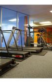 Туры в отель Hotel Indigo Ottawa Туры в отель Hotel Indigo Ottawa