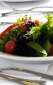 Туры в отель Best Western Roehampton Hotel & Suites Туры в отель Best Western Roehampton Hotel & Suites