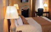 Туры в отель Monte Carlo Inn Vaughan Hotel Туры в отель Monte Carlo Inn Vaughan Hotel