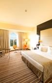Туры в отель Ramada Colombo Туры в отель Ramada Colombo