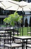 Туры в отель Enotel Magnolia Туры в отель Enotel Magnolia