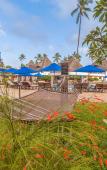 Туры в отель Nungwi Beach Resort by Turaco Туры в отель Nungwi Beach Resort by Turaco