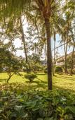 Туры в отель Nungwi Beach Resort by Turaco Туры в отель Nungwi Beach Resort by Turaco