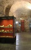 Туры в отель CDH Hotel La Spezia Туры в отель CDH Hotel La Spezia