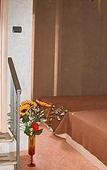 Туры в отель Hotel Mamiani Туры в отель Hotel Mamiani