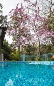 Туры в отель Villa Edem Туры в отель Villa Edem