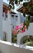 Туры в отель Villa Fiorentino Туры в отель Villa Fiorentino