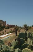 Туры в отель Falconara Charming House & Resort Туры в отель Falconara Charming House & Resort