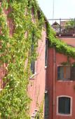 Туры в отель Iris Hotel Туры в отель Iris Hotel