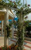 Туры в отель Swiss International Hotel Villa Patriarca Туры в отель Swiss International Hotel Villa Patriarca