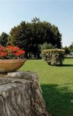 Туры в отель Swiss International Hotel Villa Patriarca Туры в отель Swiss International Hotel Villa Patriarca