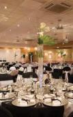 Туры в отель Best Western Cresta Court Туры в отель Best Western Cresta Court