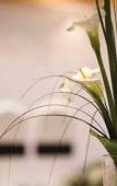 Туры в отель Best Western Cresta Court Туры в отель Best Western Cresta Court