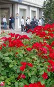 Туры в отель Best Western Park Hotel Continental Туры в отель Best Western Park Hotel Continental