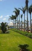Туры в отель Riu Palace Aruba Туры в отель Riu Palace Aruba