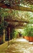 Туры в отель Suites Colonial Hotel Туры в отель Suites Colonial Hotel