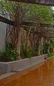 Туры в отель Suites Colonial Hotel Туры в отель Suites Colonial Hotel