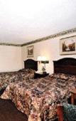 Туры в отель Best Western Executive Inn Туры в отель Best Western Executive Inn