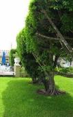 Туры в отель Villablanca Garden Beach Туры в отель Villablanca Garden Beach