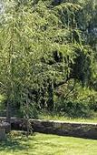 Туры в отель Quinta Las Acacias Туры в отель Quinta Las Acacias